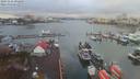 ./images/victoria/wharf/20191126/wharf20191126_091450.jpg