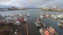 ./images/victoria/wharf/20191126/wharf20191126_114451.jpg