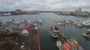 ./images/victoria/wharf/20191126/wharf20191126_121459.jpg