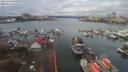 ./images/victoria/wharf/20191126/wharf20191126_121951.jpg
