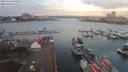 ./images/victoria/wharf/20191127/wharf20191127_082452.jpg