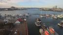 ./images/victoria/wharf/20191127/wharf20191127_112455.jpg