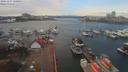 ./images/victoria/wharf/20191127/wharf20191127_120953.jpg