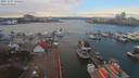 ./images/victoria/wharf/20191127/wharf20191127_122451.jpg