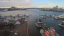 ./images/victoria/wharf/20191127/wharf20191127_124957.jpg