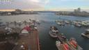 ./images/victoria/wharf/20191127/wharf20191127_131452.jpg