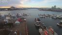 ./images/victoria/wharf/20191127/wharf20191127_140954.jpg