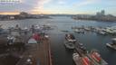 ./images/victoria/wharf/20191127/wharf20191127_141458.jpg