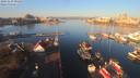 ./images/victoria/wharf/20191129/wharf20191129_091952.jpg