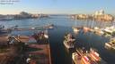 ./images/victoria/wharf/20191129/wharf20191129_121450.jpg