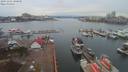 ./images/victoria/wharf/20191201/wharf20191201_100449.jpg
