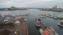 ./images/victoria/wharf/20191201/wharf20191201_101454.jpg