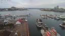 ./images/victoria/wharf/20191201/wharf20191201_101957.jpg