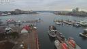 ./images/victoria/wharf/20191201/wharf20191201_104452.jpg