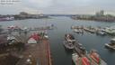 ./images/victoria/wharf/20191201/wharf20191201_105458.jpg