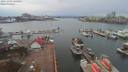./images/victoria/wharf/20191201/wharf20191201_115454.jpg