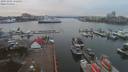 ./images/victoria/wharf/20191201/wharf20191201_152451.jpg