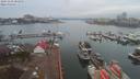 ./images/victoria/wharf/20191202/wharf20191202_083953.jpg