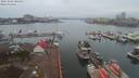 ./images/victoria/wharf/20191202/wharf20191202_085953.jpg