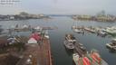 ./images/victoria/wharf/20191202/wharf20191202_094449.jpg