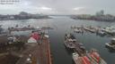 ./images/victoria/wharf/20191203/wharf20191203_084954.jpg
