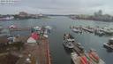 ./images/victoria/wharf/20191203/wharf20191203_112452.jpg