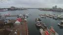 ./images/victoria/wharf/20191203/wharf20191203_112954.jpg