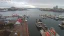 ./images/victoria/wharf/20191203/wharf20191203_122950.jpg