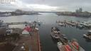 ./images/victoria/wharf/20191203/wharf20191203_123955.jpg