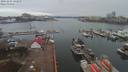 ./images/victoria/wharf/20191203/wharf20191203_142959.jpg