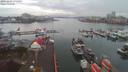 ./images/victoria/wharf/20191204/wharf20191204_075454.jpg