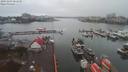 ./images/victoria/wharf/20191204/wharf20191204_081958.jpg