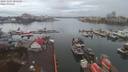 ./images/victoria/wharf/20191204/wharf20191204_085458.jpg