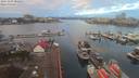 ./images/victoria/wharf/20191205/wharf20191205_081954.jpg
