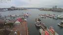 ./images/victoria/wharf/20191205/wharf20191205_122449.jpg