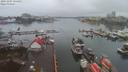 ./images/victoria/wharf/20191207/wharf20191207_124451.jpg