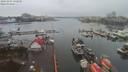 ./images/victoria/wharf/20191207/wharf20191207_132958.jpg