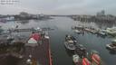 ./images/victoria/wharf/20191207/wharf20191207_154952.jpg