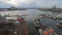 ./images/victoria/wharf/20191208/wharf20191208_132458.jpg