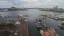 ./images/victoria/wharf/20191208/wharf20191208_135949.jpg