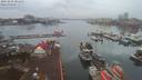 ./images/victoria/wharf/20191210/wharf20191210_080311.jpg