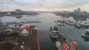 ./images/victoria/wharf/20191210/wharf20191210_082212.jpg
