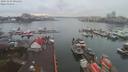 ./images/victoria/wharf/20191210/wharf20191210_095444.jpg