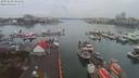 ./images/victoria/wharf/20191210/wharf20191210_100912.jpg