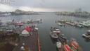 ./images/victoria/wharf/20191210/wharf20191210_105317.jpg