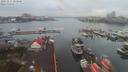 ./images/victoria/wharf/20191211/wharf20191211_082318.jpg