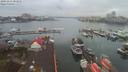 ./images/victoria/wharf/20191211/wharf20191211_082810.jpg