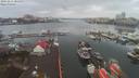 ./images/victoria/wharf/20191211/wharf20191211_084953.jpg