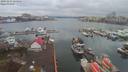./images/victoria/wharf/20191211/wharf20191211_115435.jpg