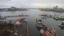 ./images/victoria/wharf/20191212/wharf20191212_084426.jpg